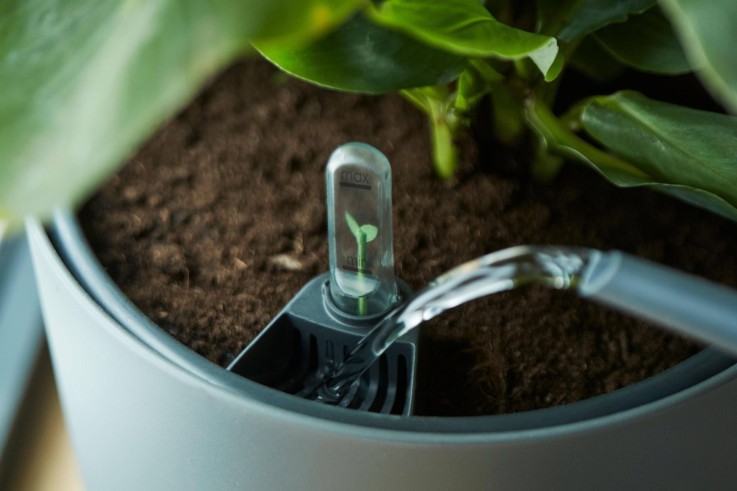 Insertion Auto-irrigante 17 cm