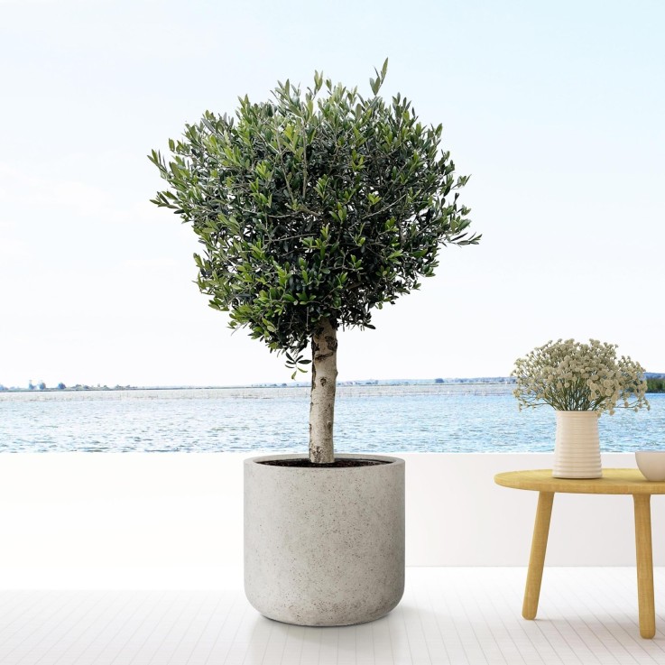 Pot Jumbo Charlie Beige Lavé 62 cm