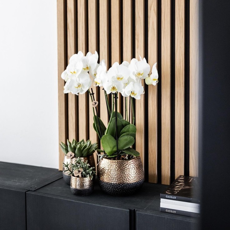 Pot décoratif Elite en cuivre