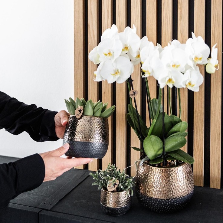 Pot décoratif Elite en cuivre