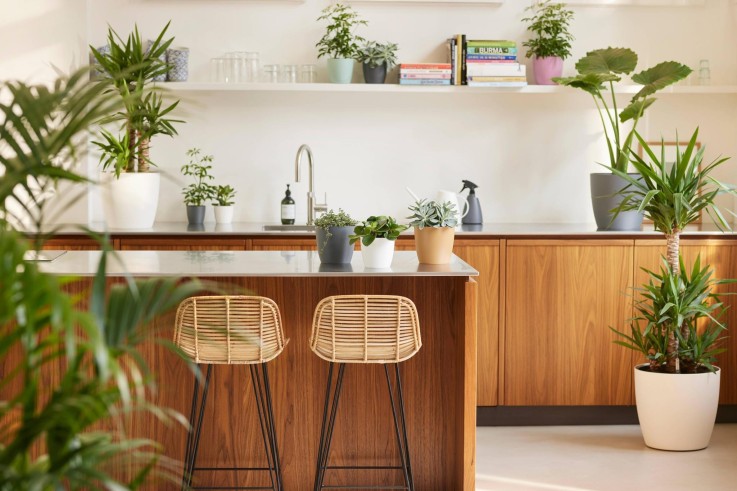 Pot elho Brussels Rond Anthracite 20 cm