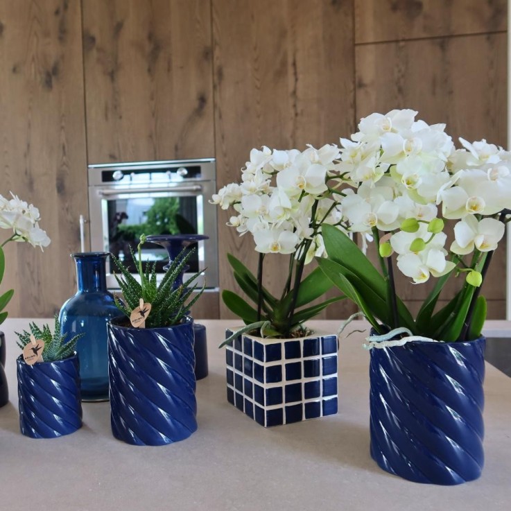 Pot Décoratif Candy - Bleu vif