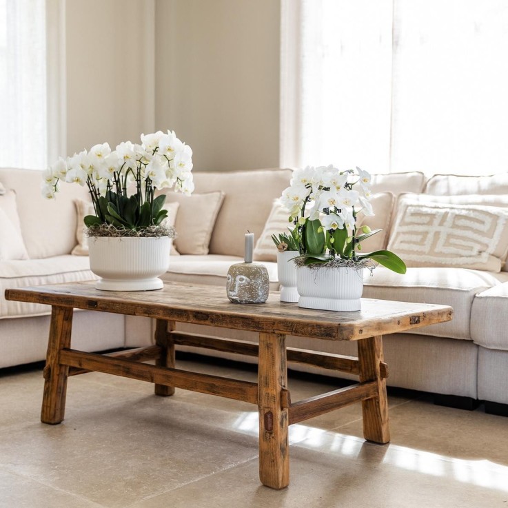 Pot Diabolo Blanc Décoratif