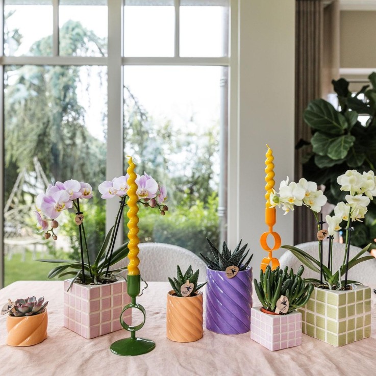 Pot décoratif Peach Candy