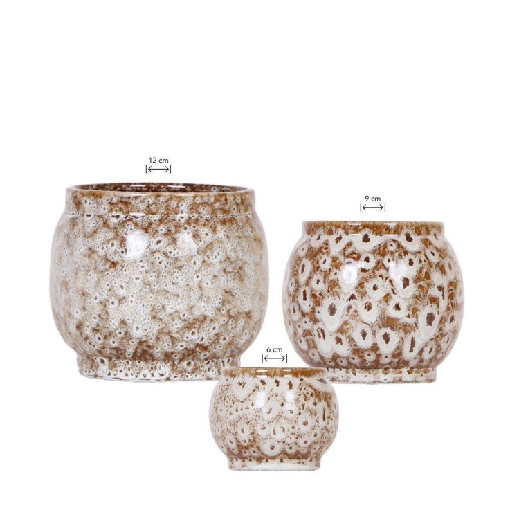 Offre Combinée Safari Pots Décoratifs