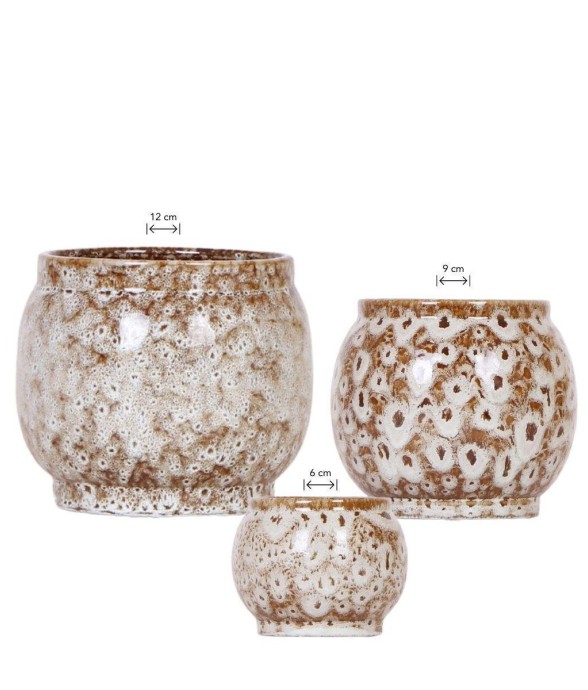 Offre Combinée Safari Pots...