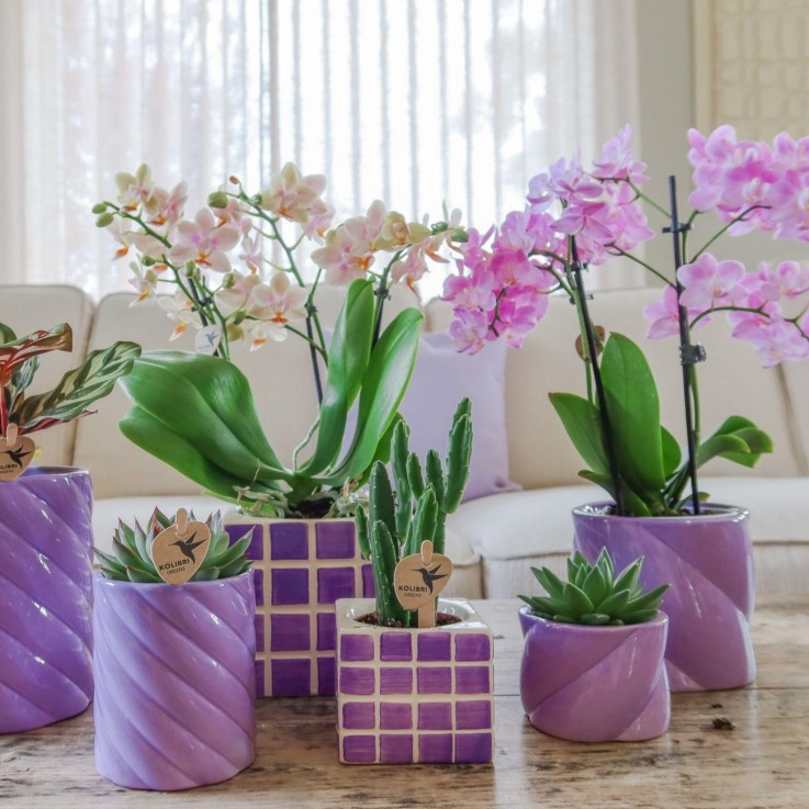 Pot décoratif Candy - Lilas