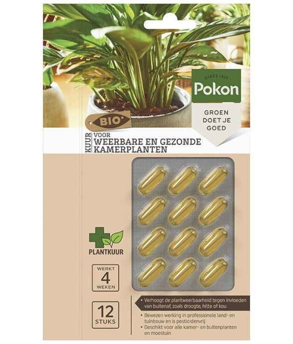 12 capsules Bio soin des...