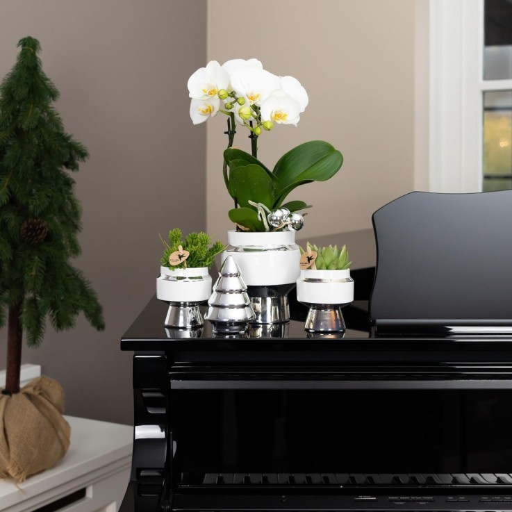 Le Chic - Pot décoratif en céramique blanche