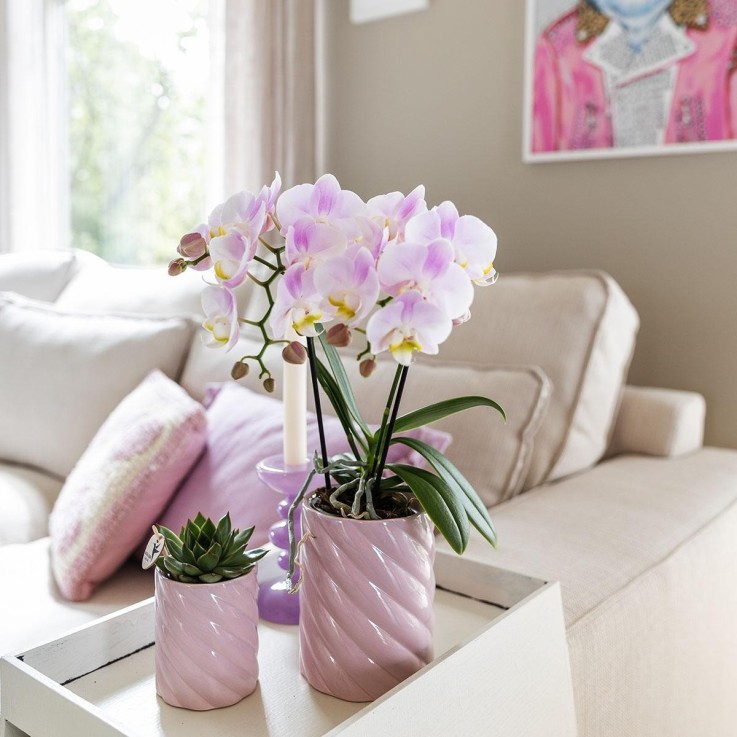 Pot décoratif Candy rose vif