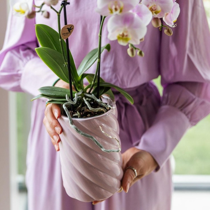 Pot décoratif Candy rose vif