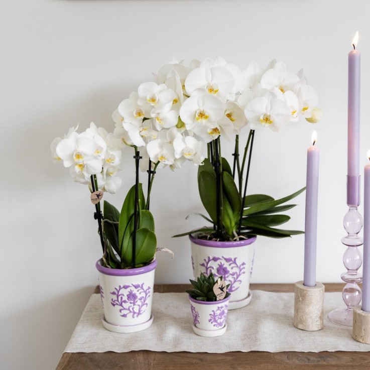 Pot décoratif Malaga Lilas