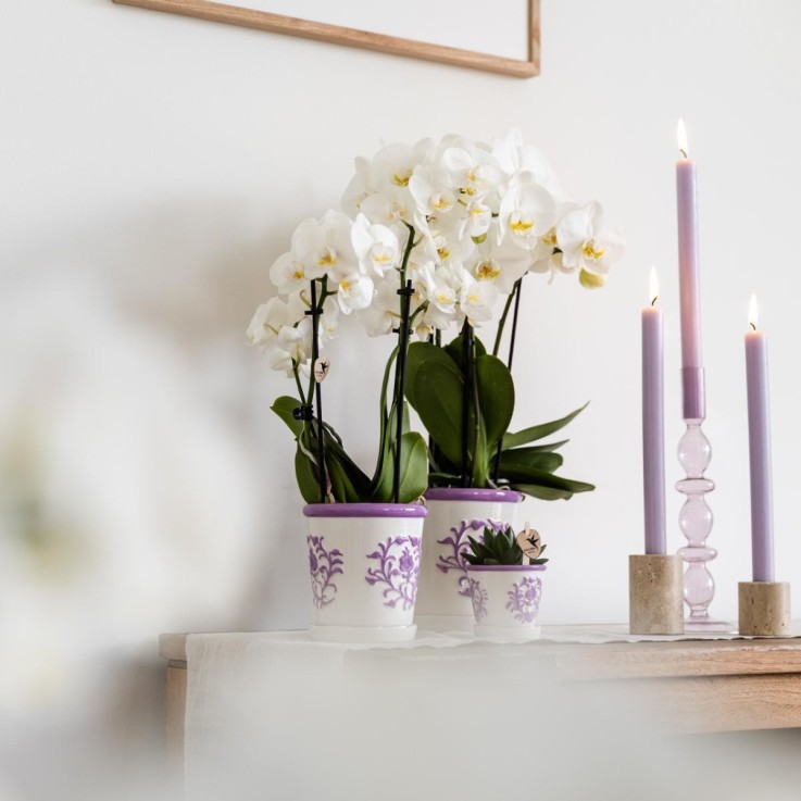 Pot décoratif Malaga Lilas