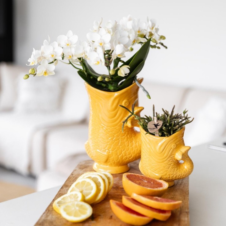 Pot décoratif Fish en céramique orange