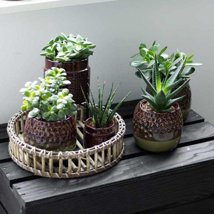 Plateau de décoration en bambou