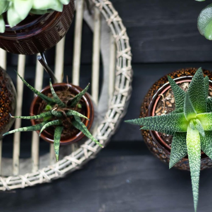 Plateau de décoration en bambou
