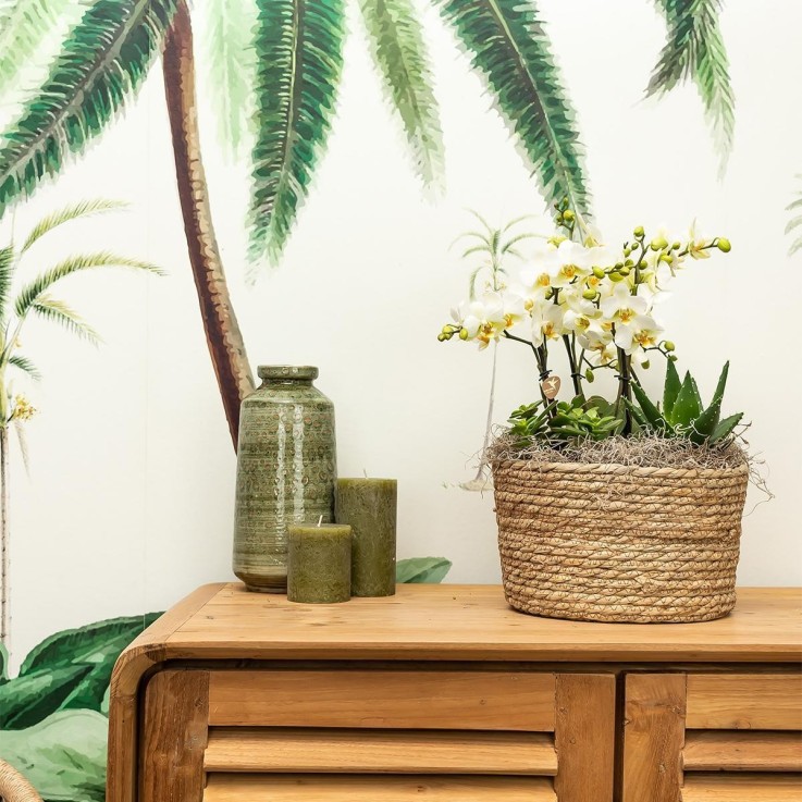 Panier Reed tressé naturel - Sierschaal