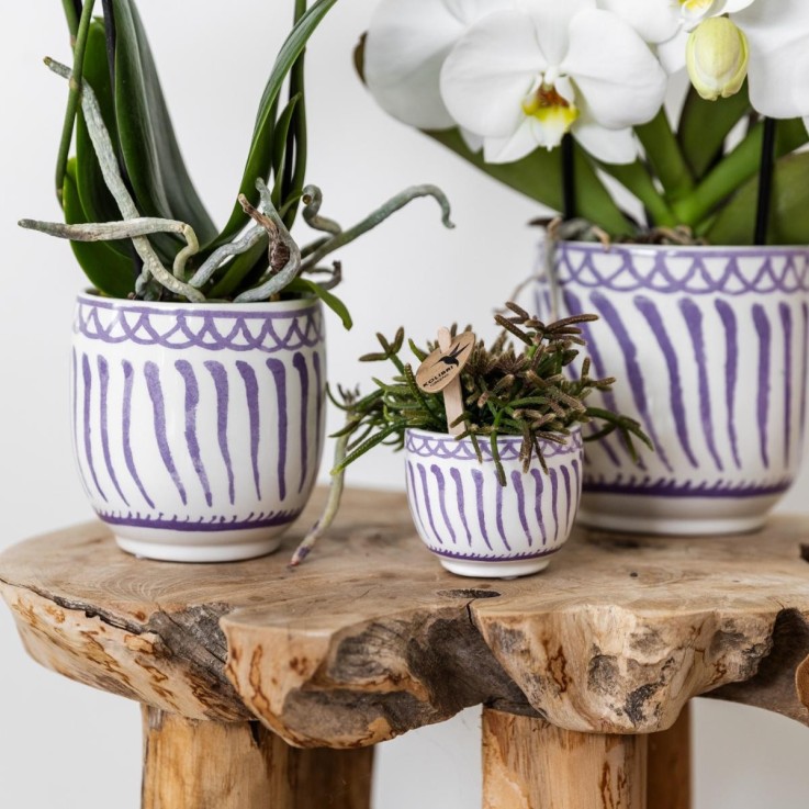 Pot décoratif Granada Lilas
