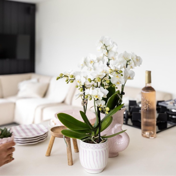 Pot décoratif Granada rose