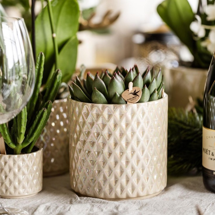 Pot Diamond Pearl en Travertin