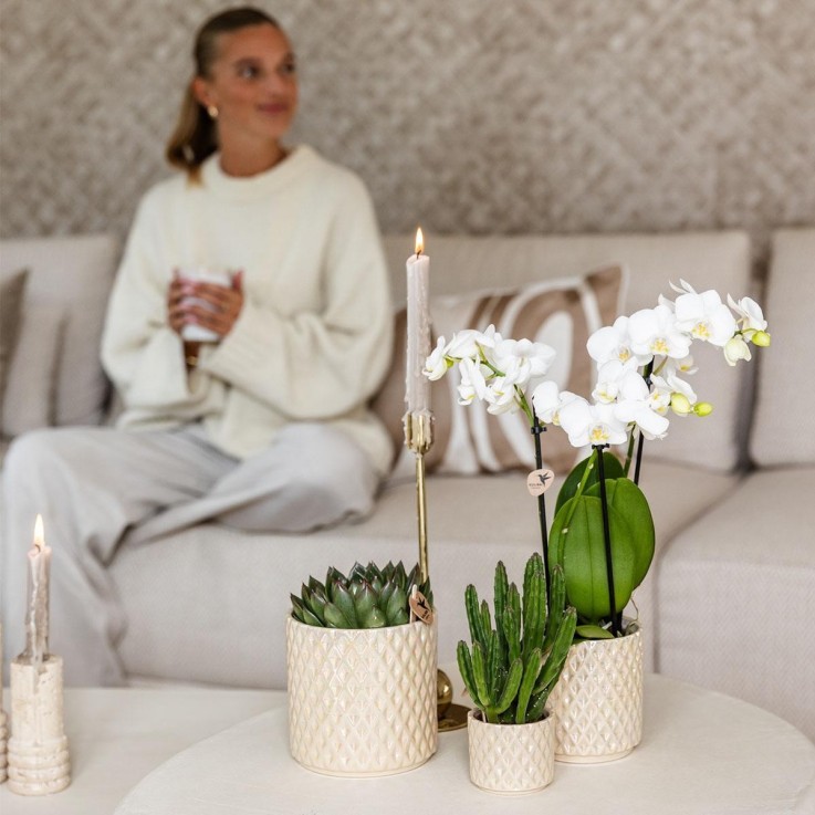 Pot Diamond Pearl en Travertin