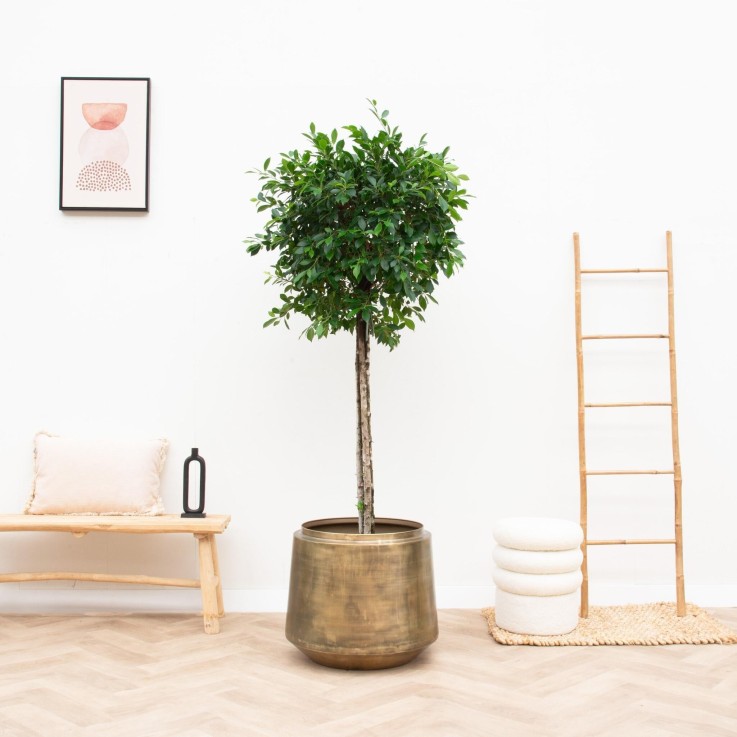 Pot Indigo Vintage Or 46 cm