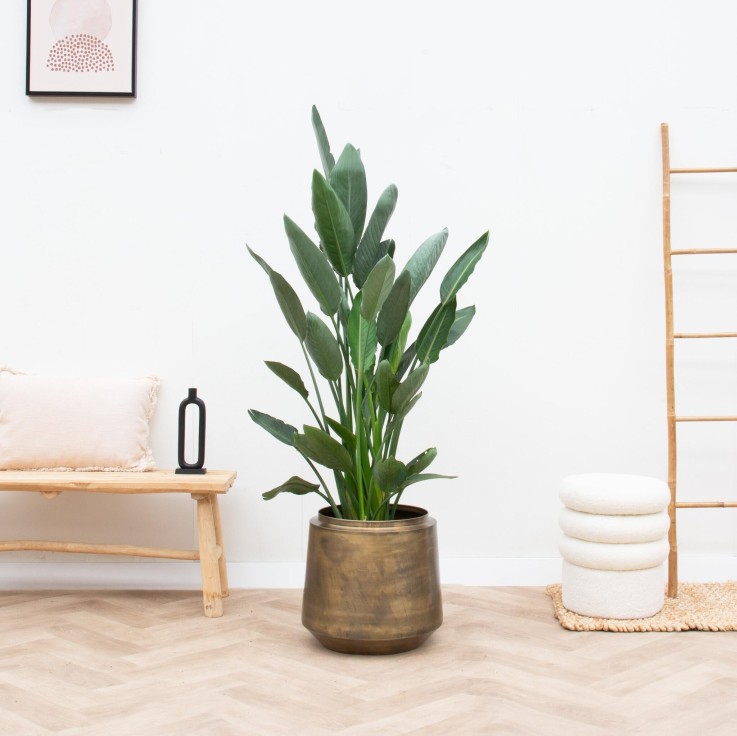 Pot Indigo Vintage Or 46 cm