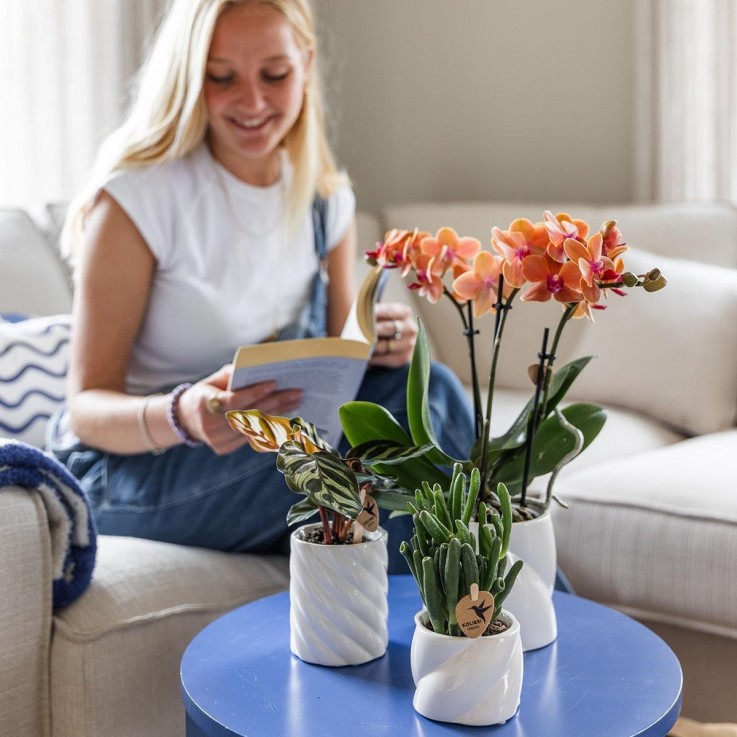 Pot Décoratif Candy Blanc