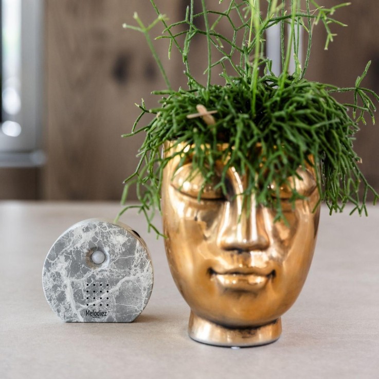 Boîte Mélodie Nature - Marbre