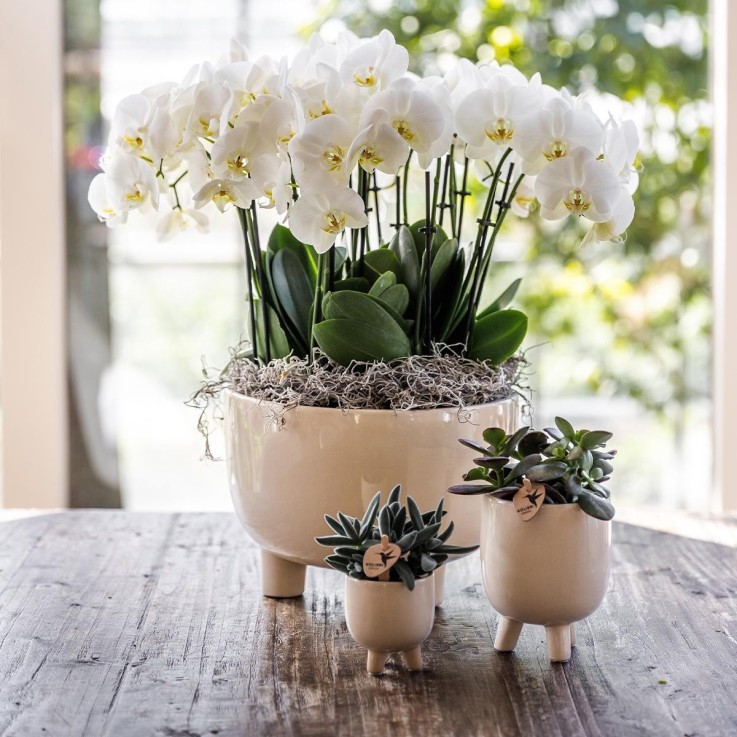 Pot décoratif Gummy travertin