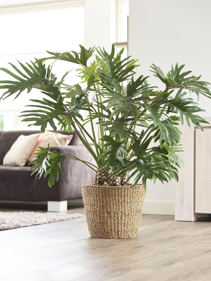 Panier naturel - h31cm, Ø37cm