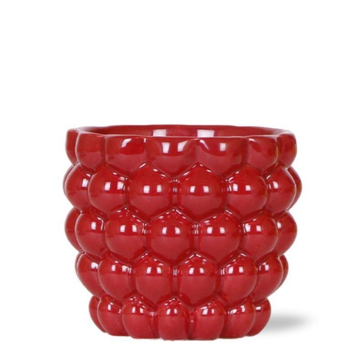 Pot en céramique rouge pour plantes d'intérieur