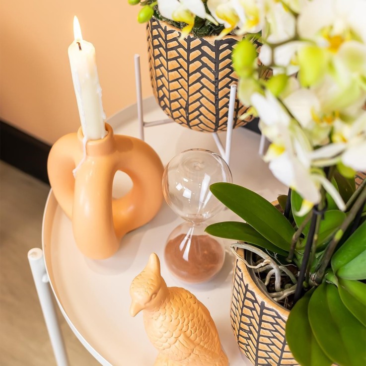 Ornement Cockatoo Pêche - Décoration Plantes