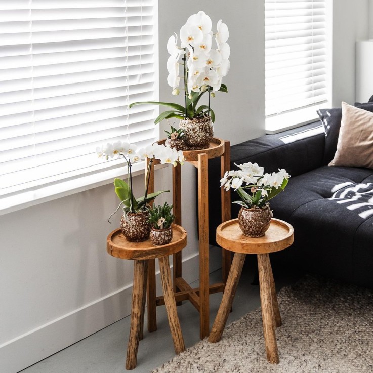 Pot Safari décoratif en céramique