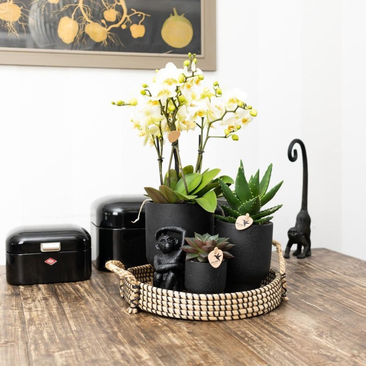 Plateau Tressé Noir - Accessoire Maison