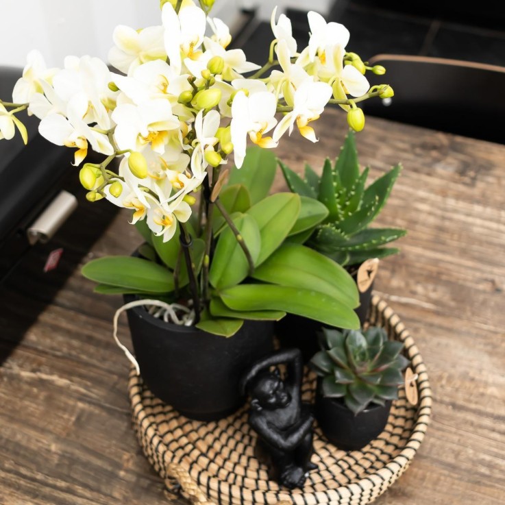 Plateau Tressé Noir - Accessoire Maison