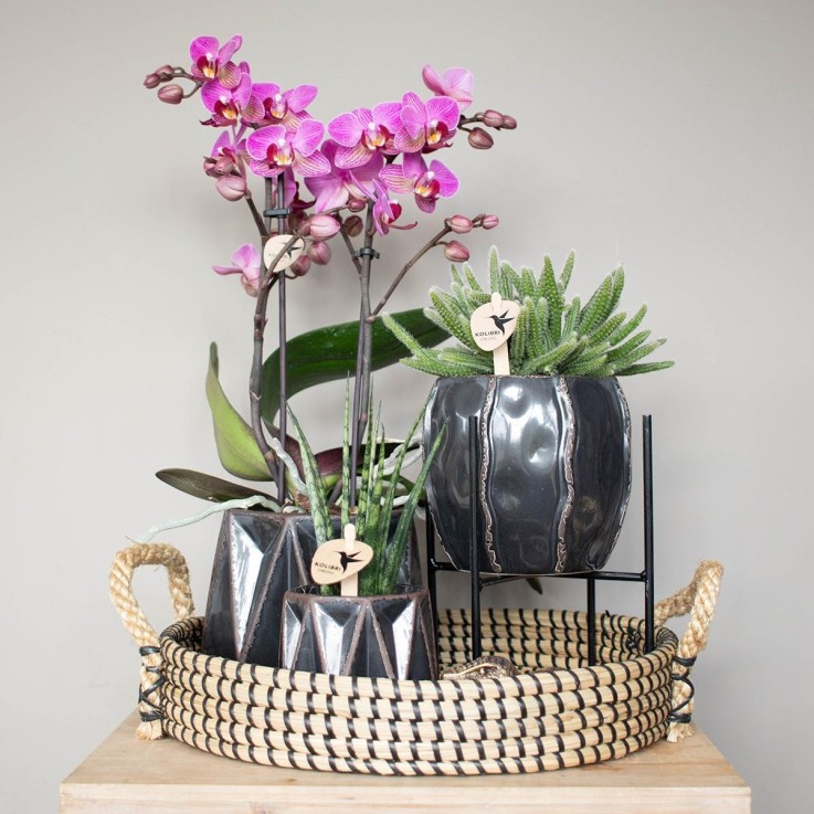 Plateau Tressé Noir - Accessoire Maison