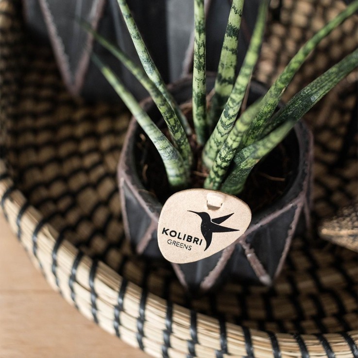 Plateau Tressé Noir - Accessoire Maison