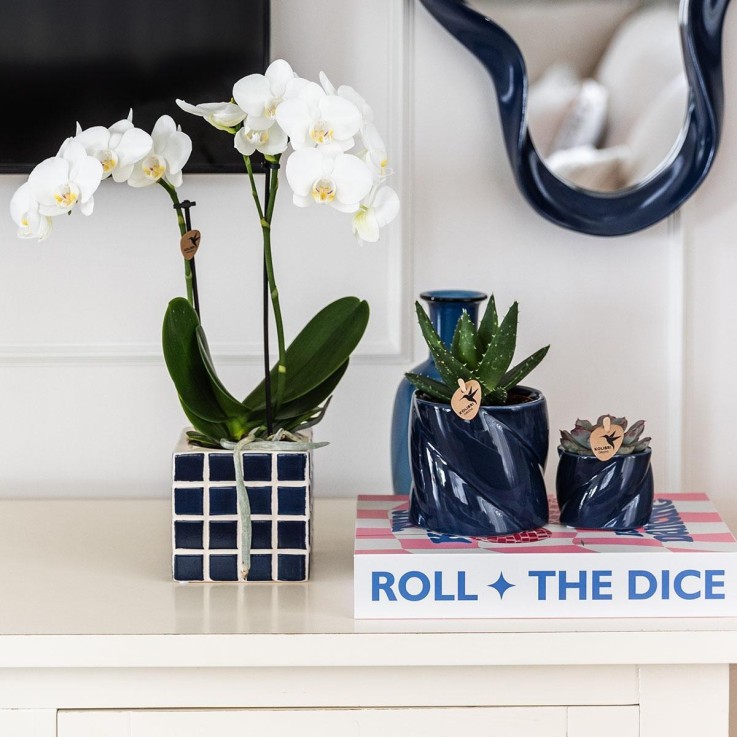 Pot Décoratif Candy - Bleu