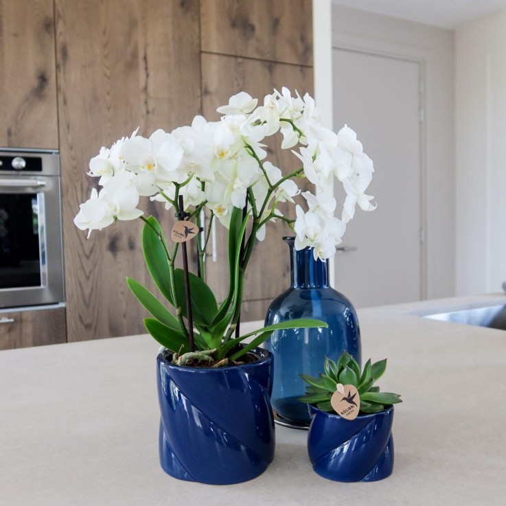 Pot Décoratif Candy - Bleu