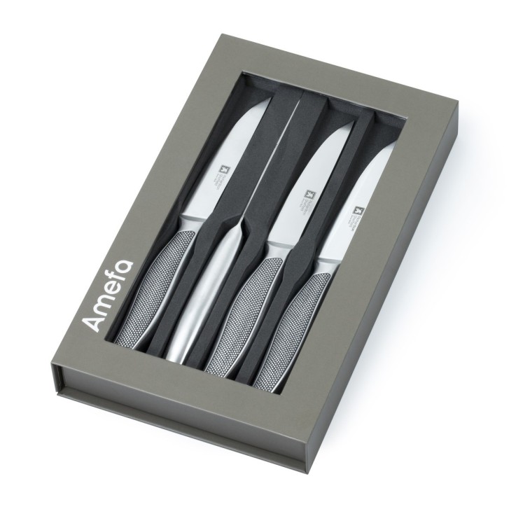 Coffret de 4 couteaux steak en inox