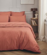 Rose Corail