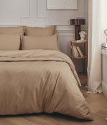 Beige Dune