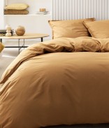 Ambre