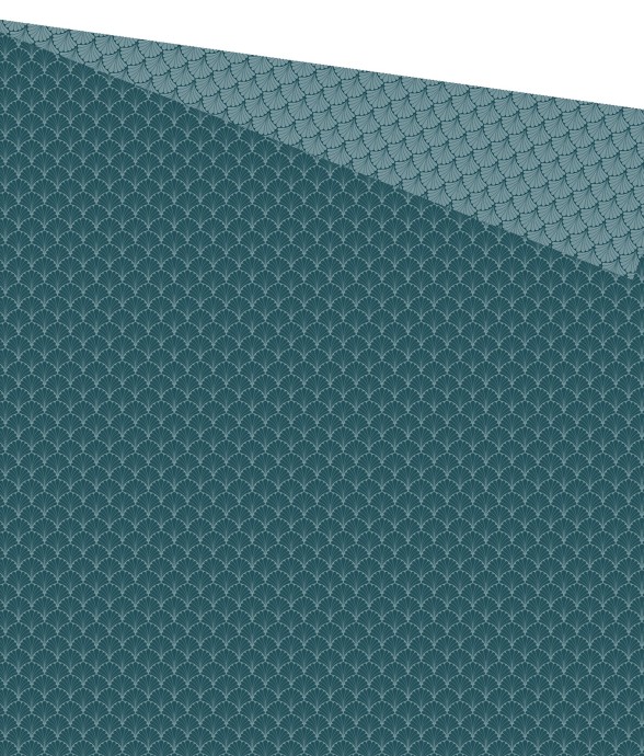 Housse de couette imprimée...