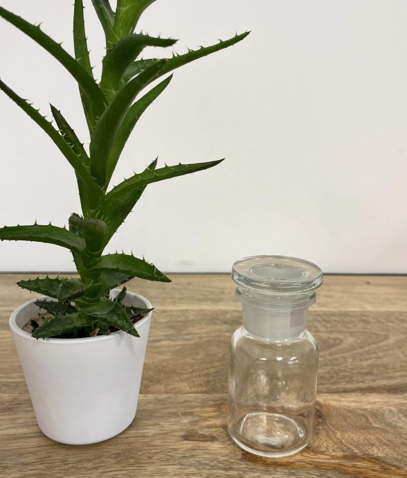 Jar en verre 50 ml -...