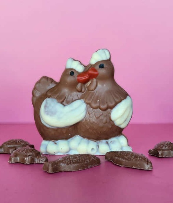 Poules câlines et fritures...