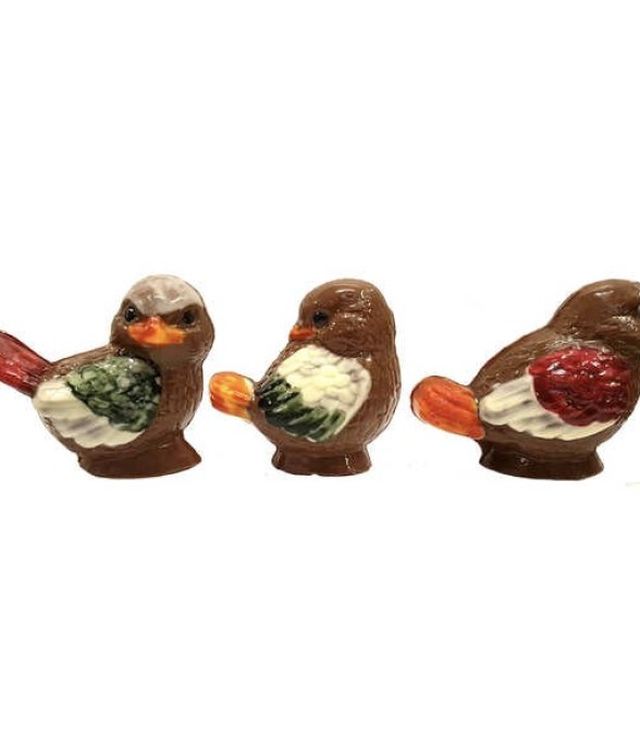 Petit oiseau coloré en...