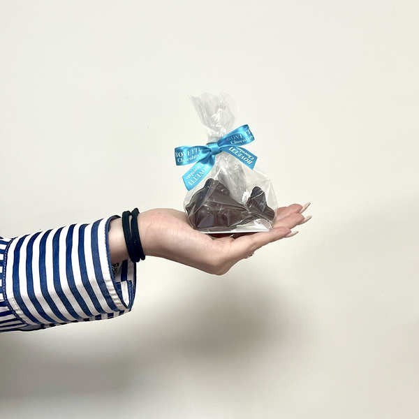 Baleine en chocolat noir - La baleine de 30g