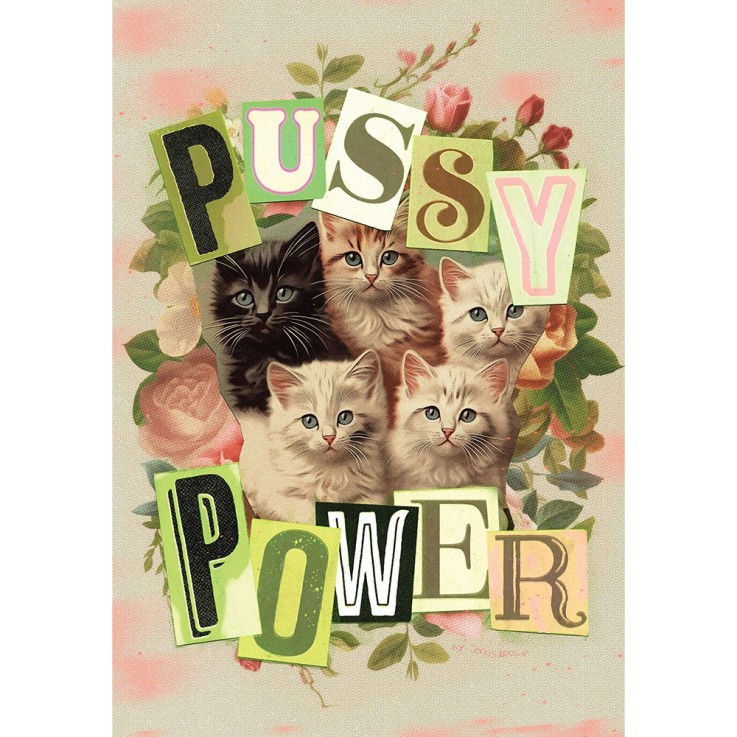 Puzzle Pussy Power - 1000 pièces